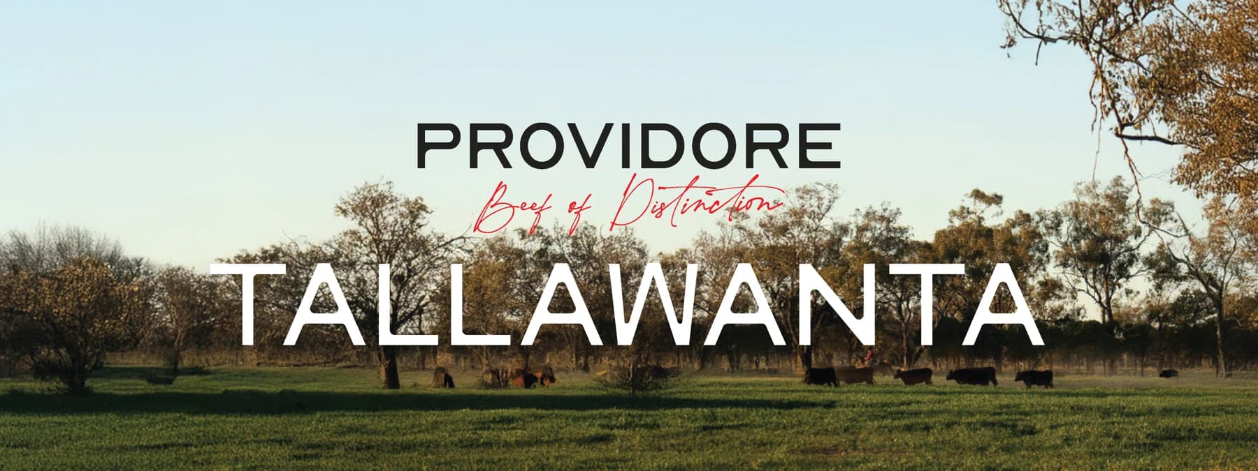 Tallawanta collection
